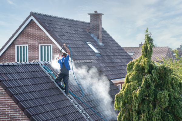Lansing Roof Cleaning