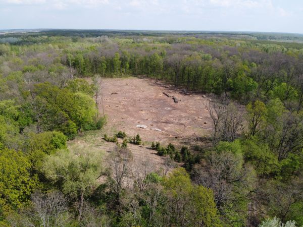 Lansing Land Clearing
