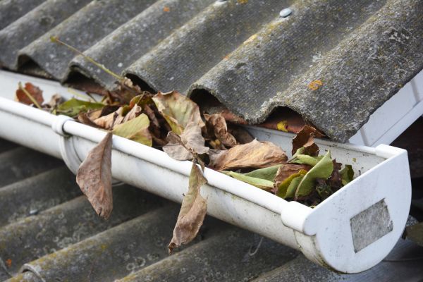 Lansing Gutter Cleaning