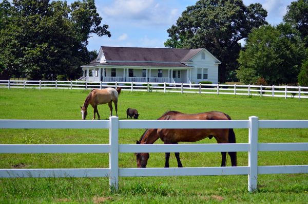 Lansing Fence Service